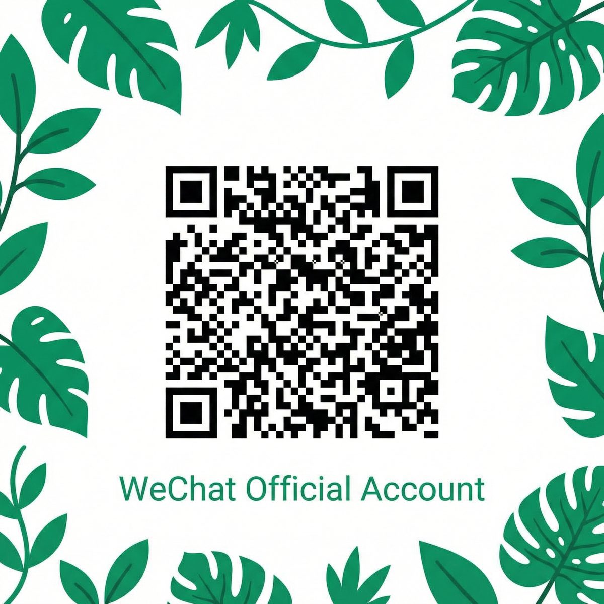 蜜桃传媒公众号
